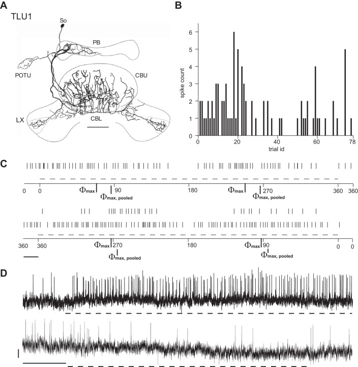 Fig. 10.