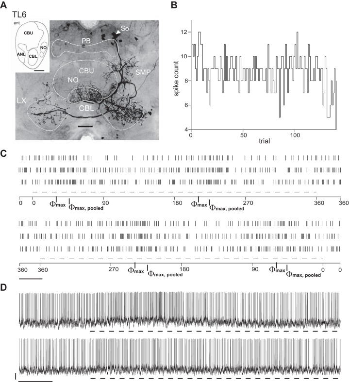 Fig. 11.