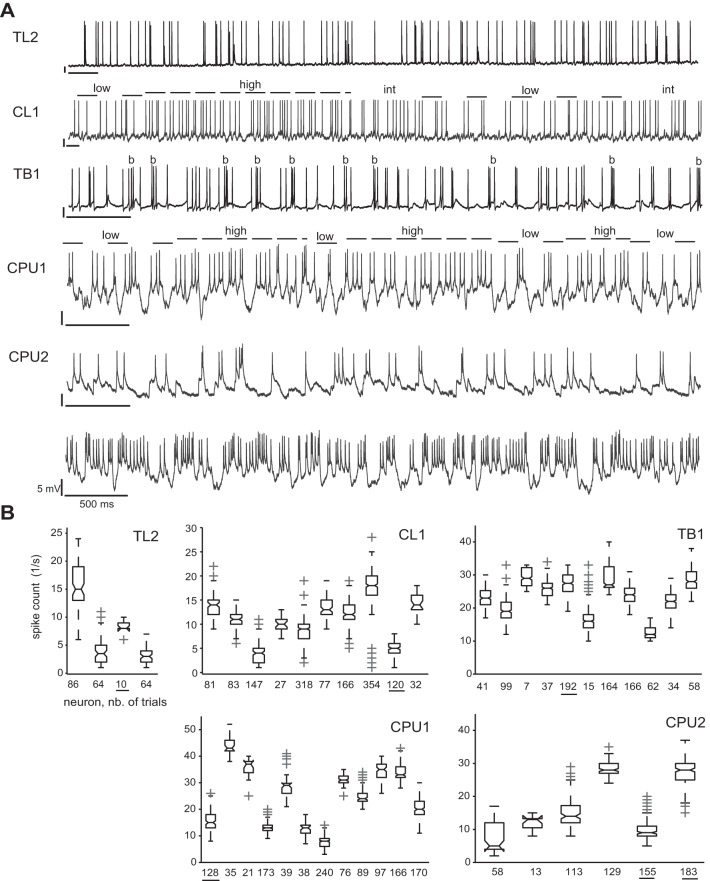 Fig. 2.