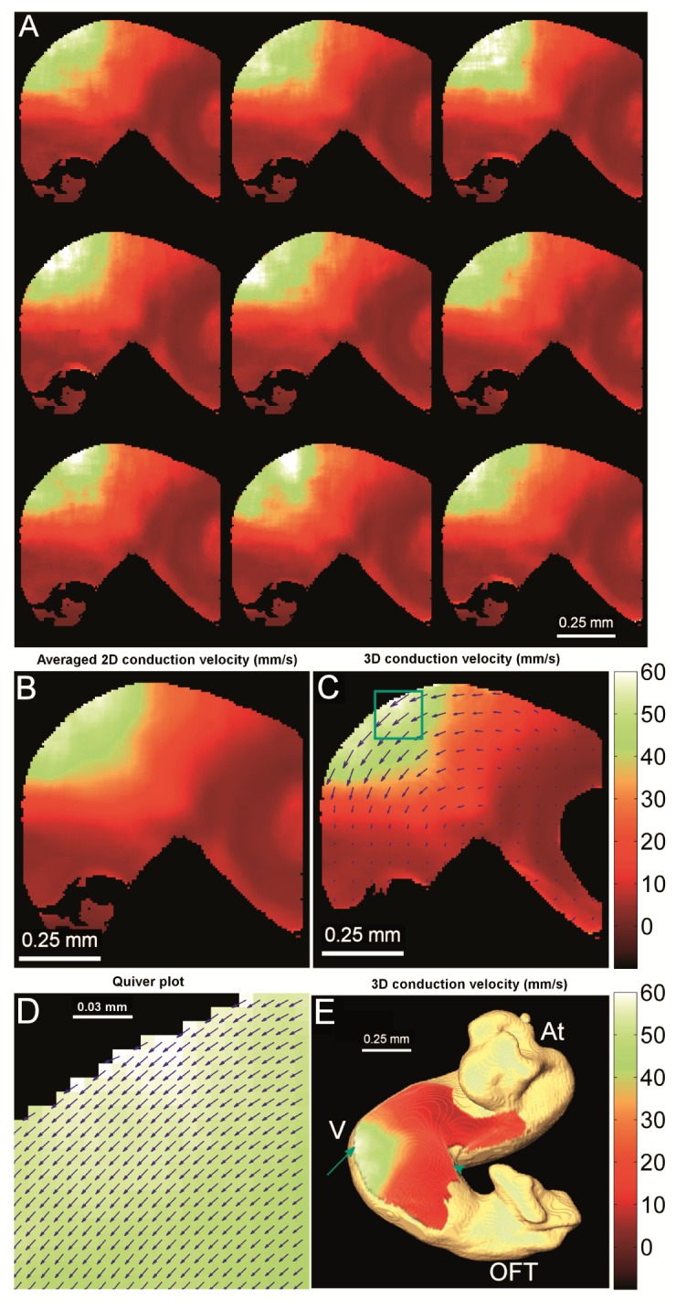 Fig. 7