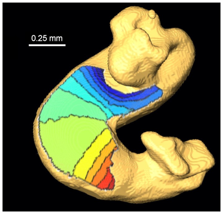 Fig. 6