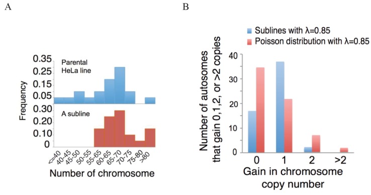 Figure 4—figure supplement 1.