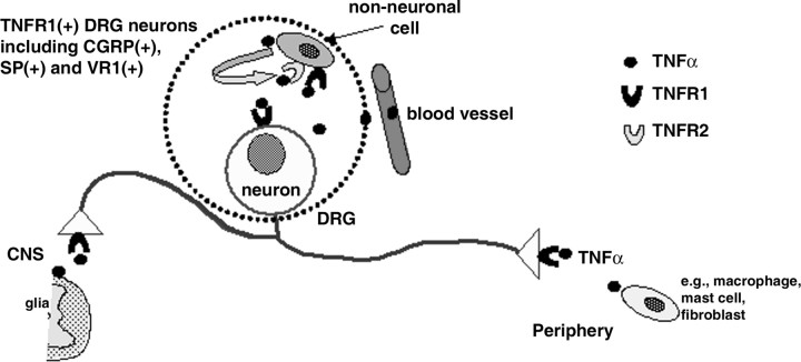 
Figure 10.
