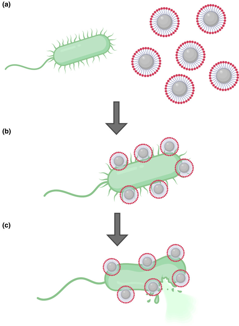 Figure 2.