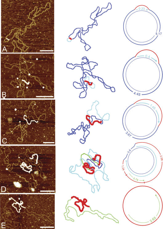 Figure 3.