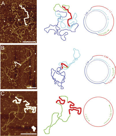 Figure 5.