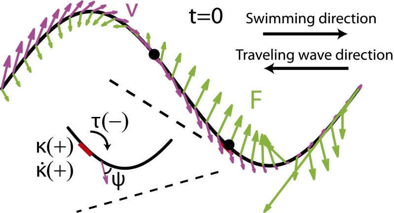 Fig. 2.