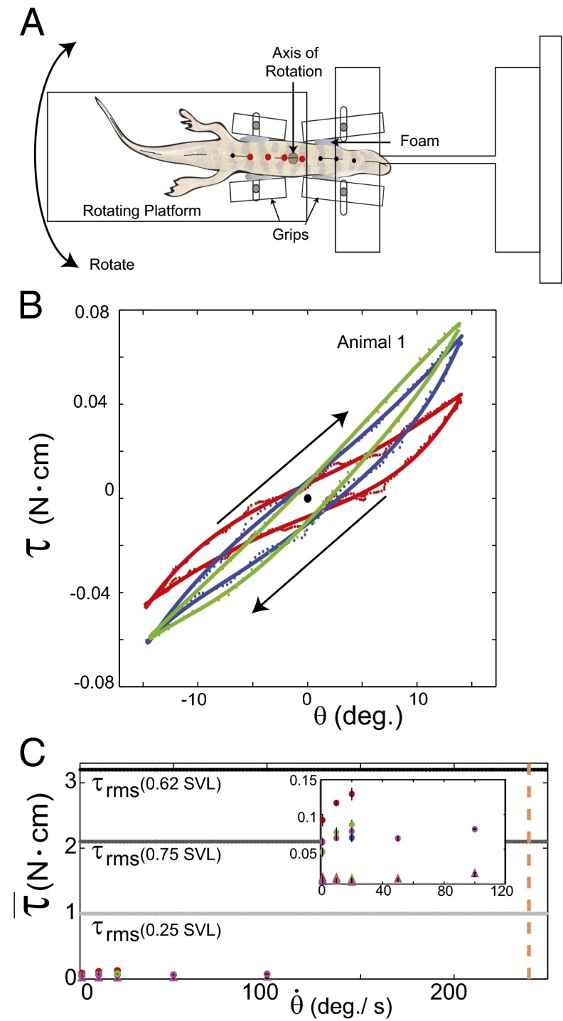 Fig. 7.