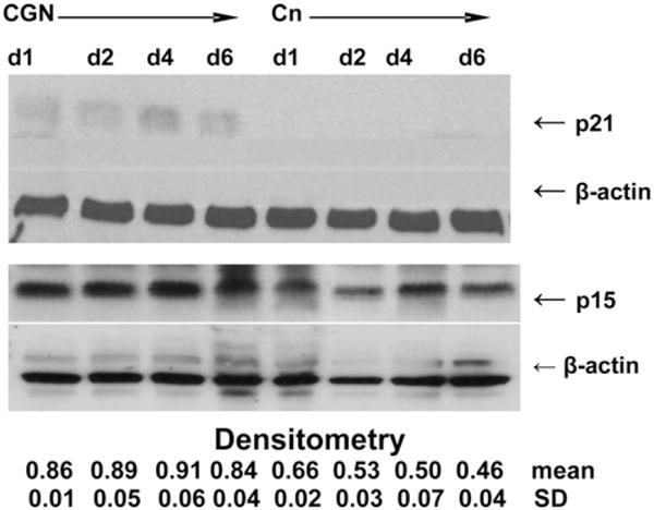 FIGURE 3