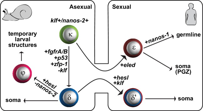 Figure 8.