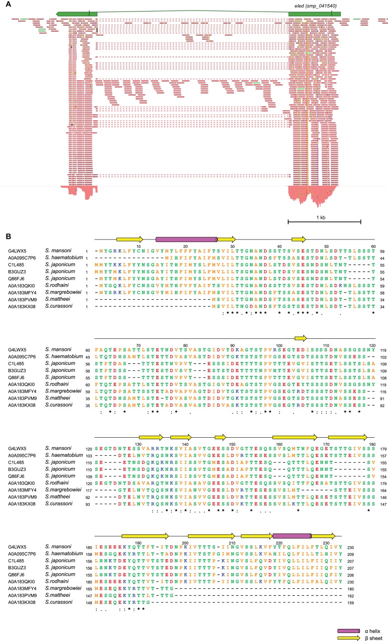 Figure 4—figure supplement 4.