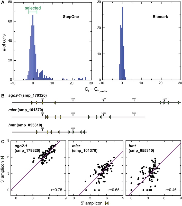 Figure 4—figure supplement 2.