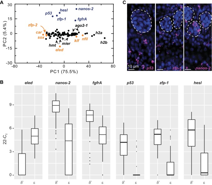 Figure 4—figure supplement 3.