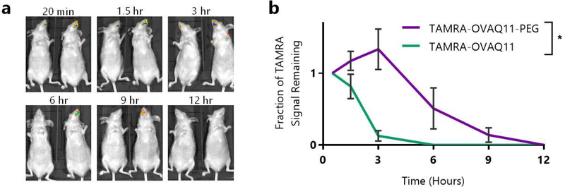 Figure 6: