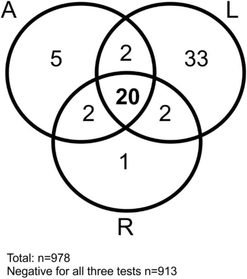 Fig. 2