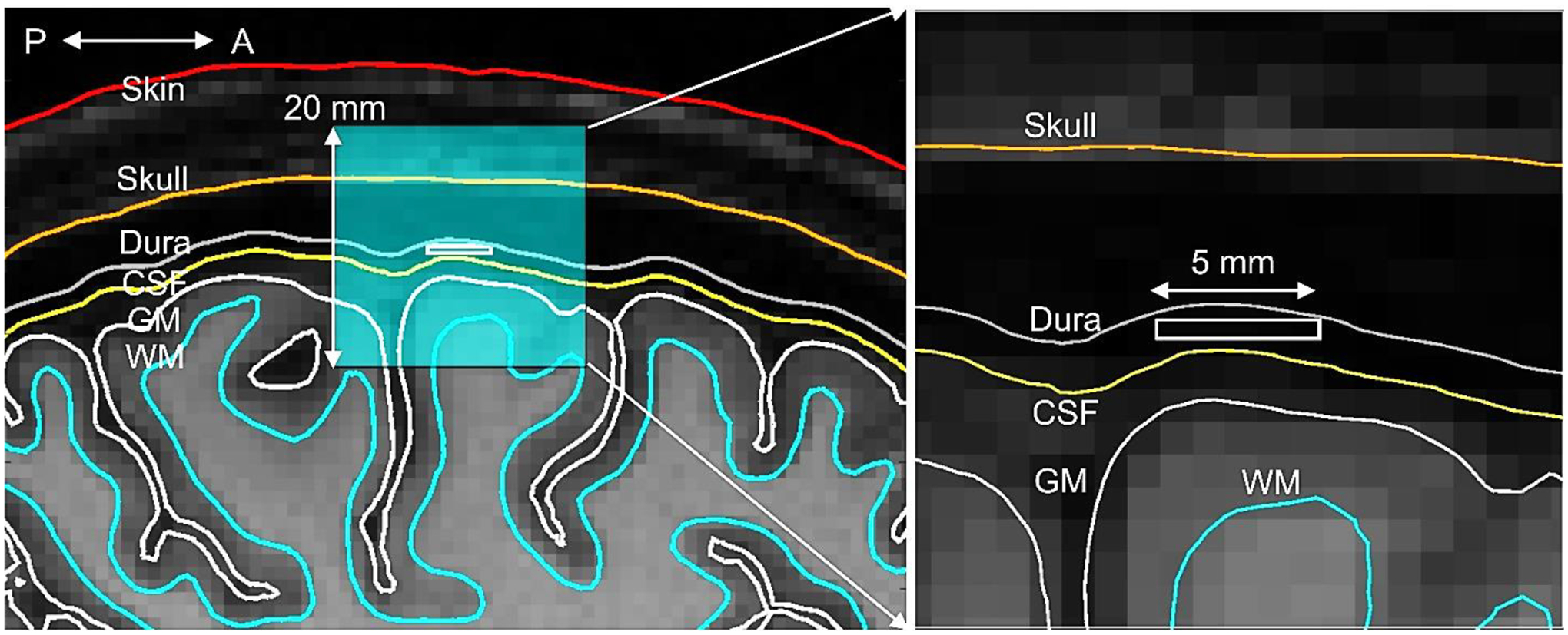 Fig. 7.