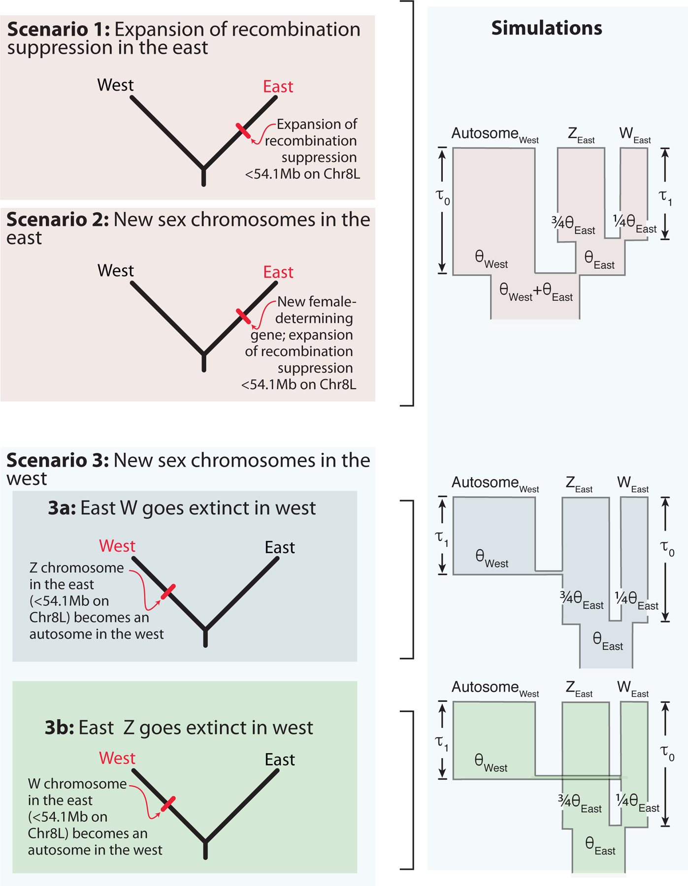 Figure. 1.