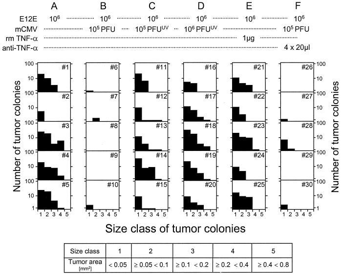 FIG. 9.