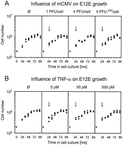 FIG. 8.