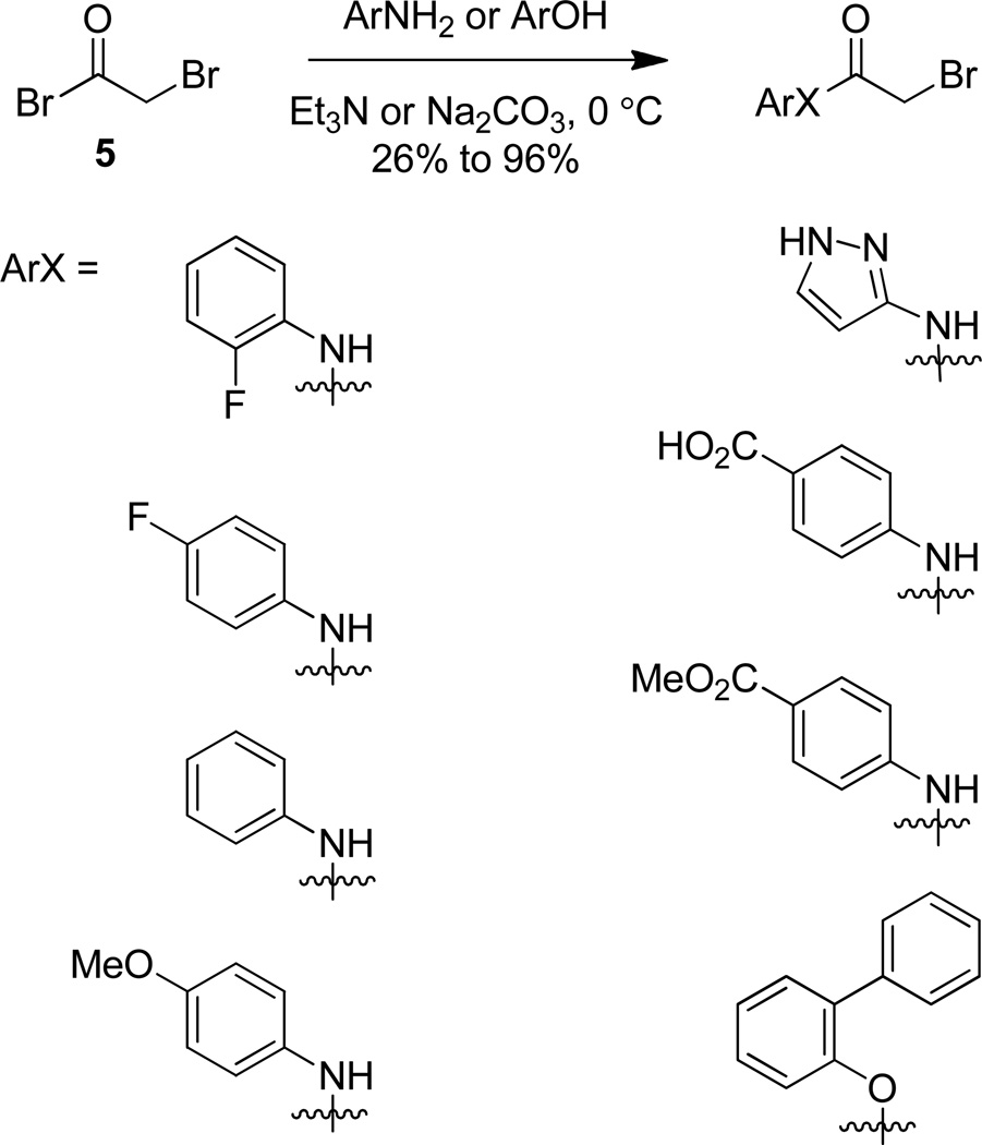 Scheme 2