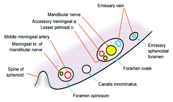 [Table/Fig-1]: