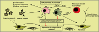 Fig. (5)
