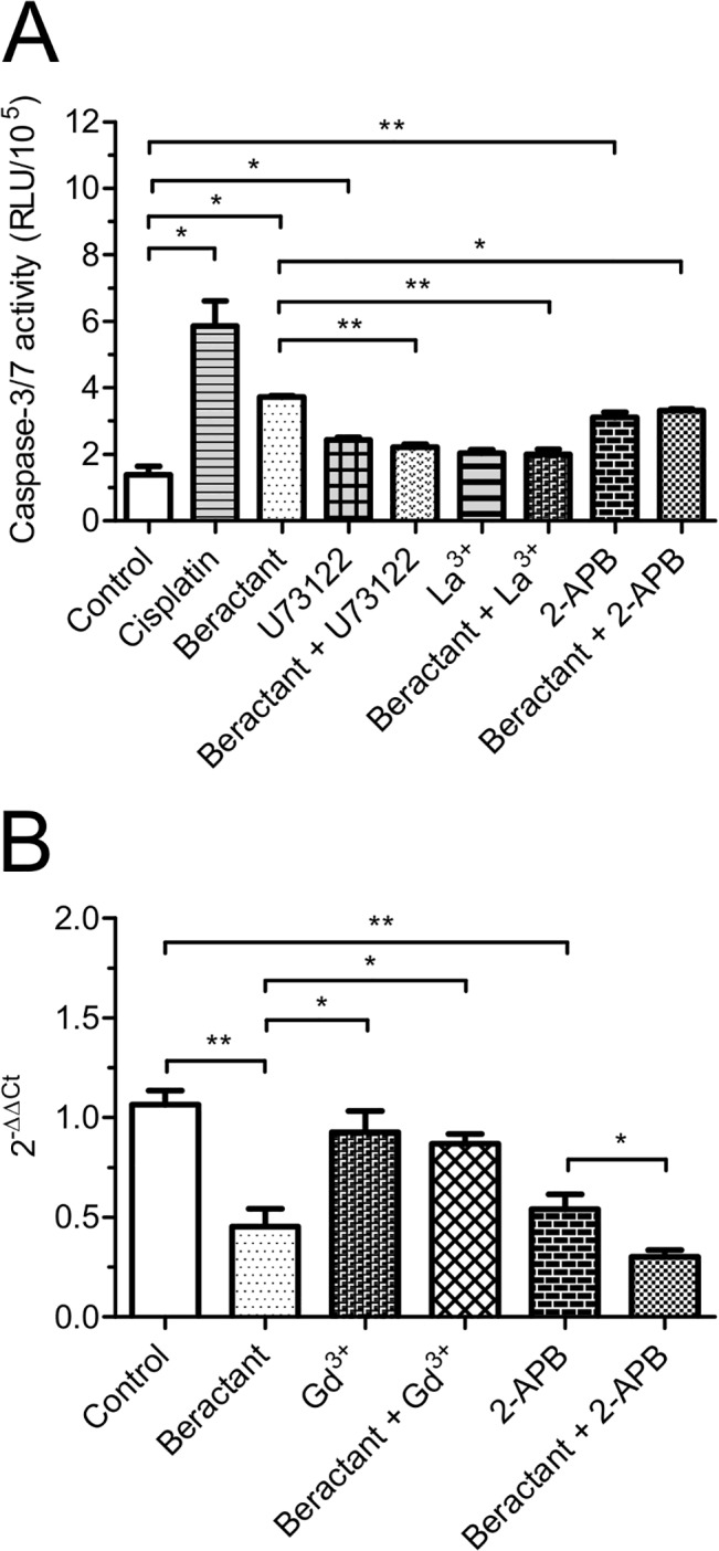 Fig 12