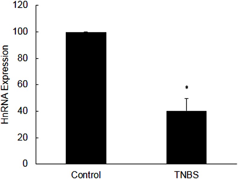 Fig 10