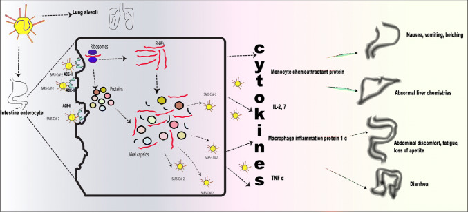 Fig. 1