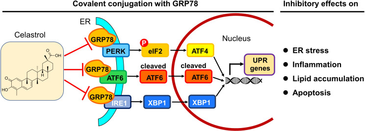 Figure 10.