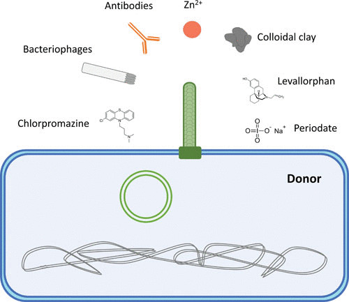 FIGURE 4