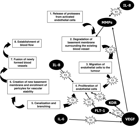 Fig. 6