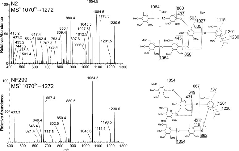 Fig. 8.