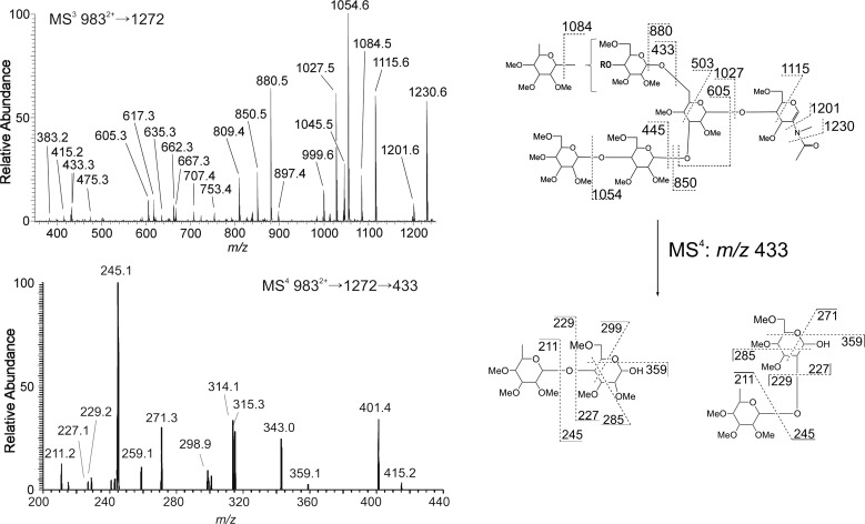 Fig. 6.