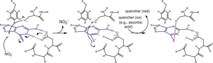 FIGURE 10.