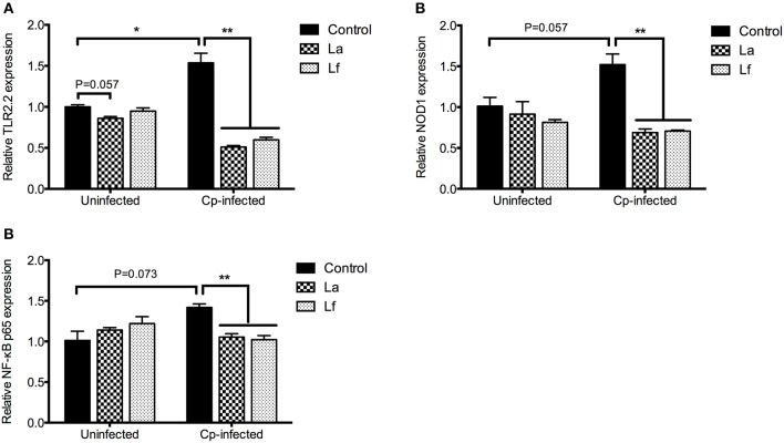 Figure 7