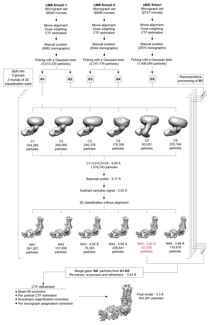 Extended Data Fig. 4