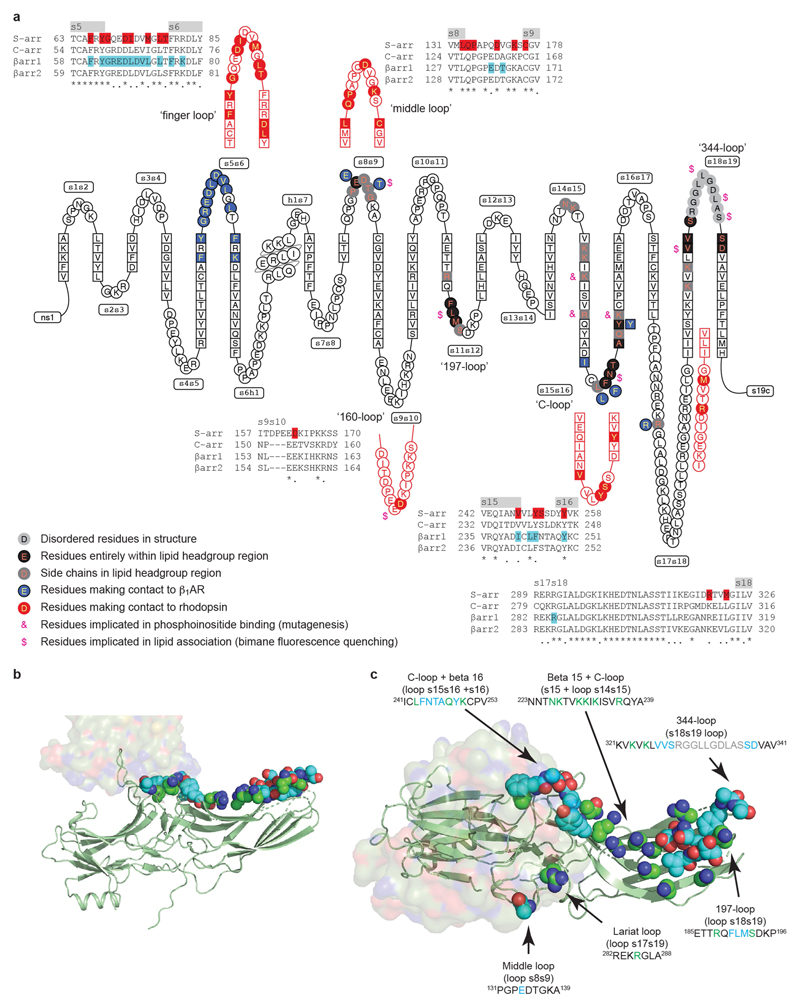 Extended Data Fig. 8