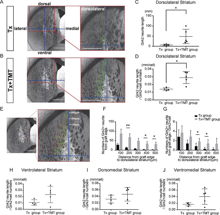 Fig.4