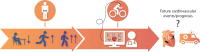 Graphical Abstract