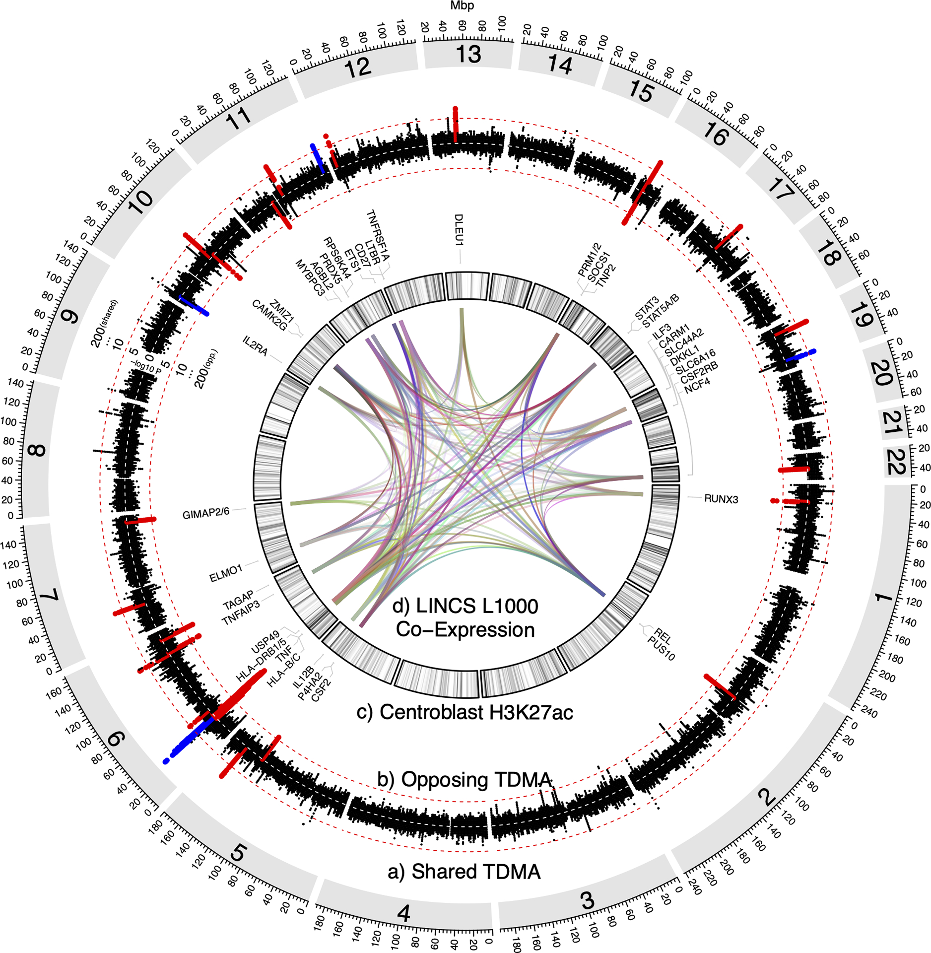 Figure 1: