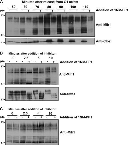 Figure 6.