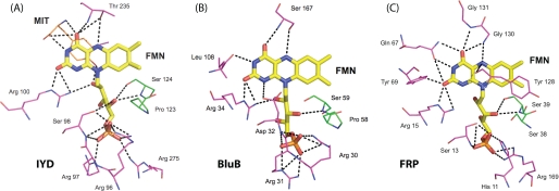 FIGURE 5.