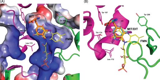 FIGURE 4.