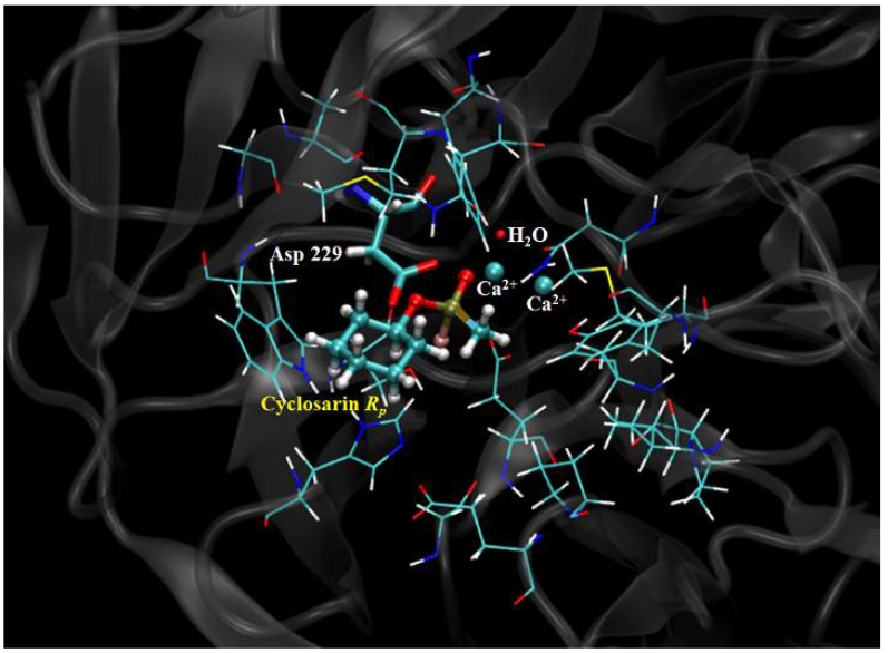 Figure 12