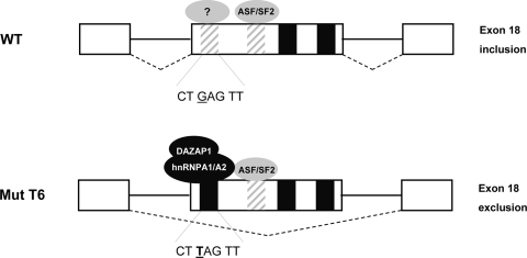 FIG. 6.