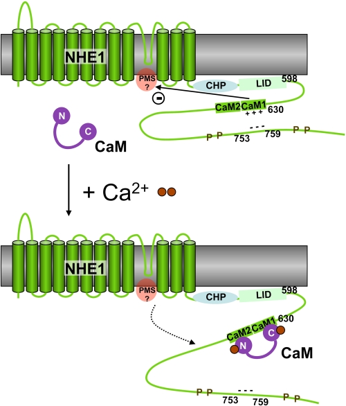 FIGURE 6.