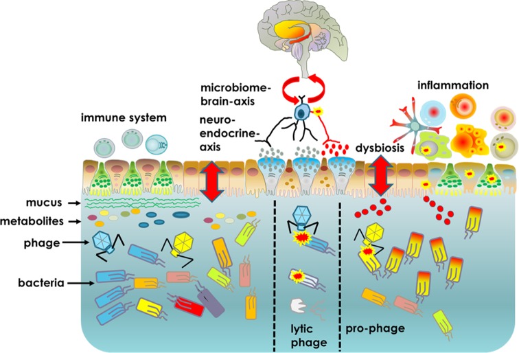 Graphical Abstract