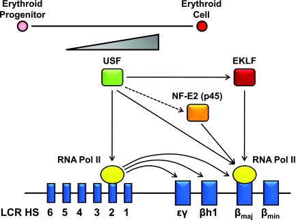 FIG. 8.