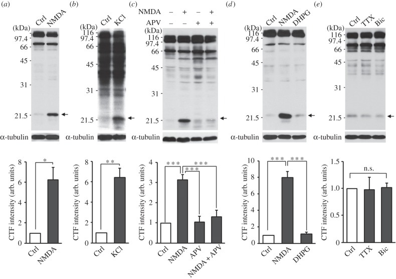 Figure 1.